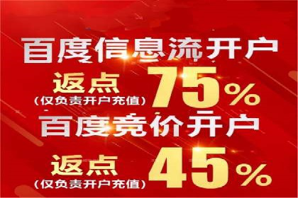 百度竞价广告运营全解析：成功案例揭秘